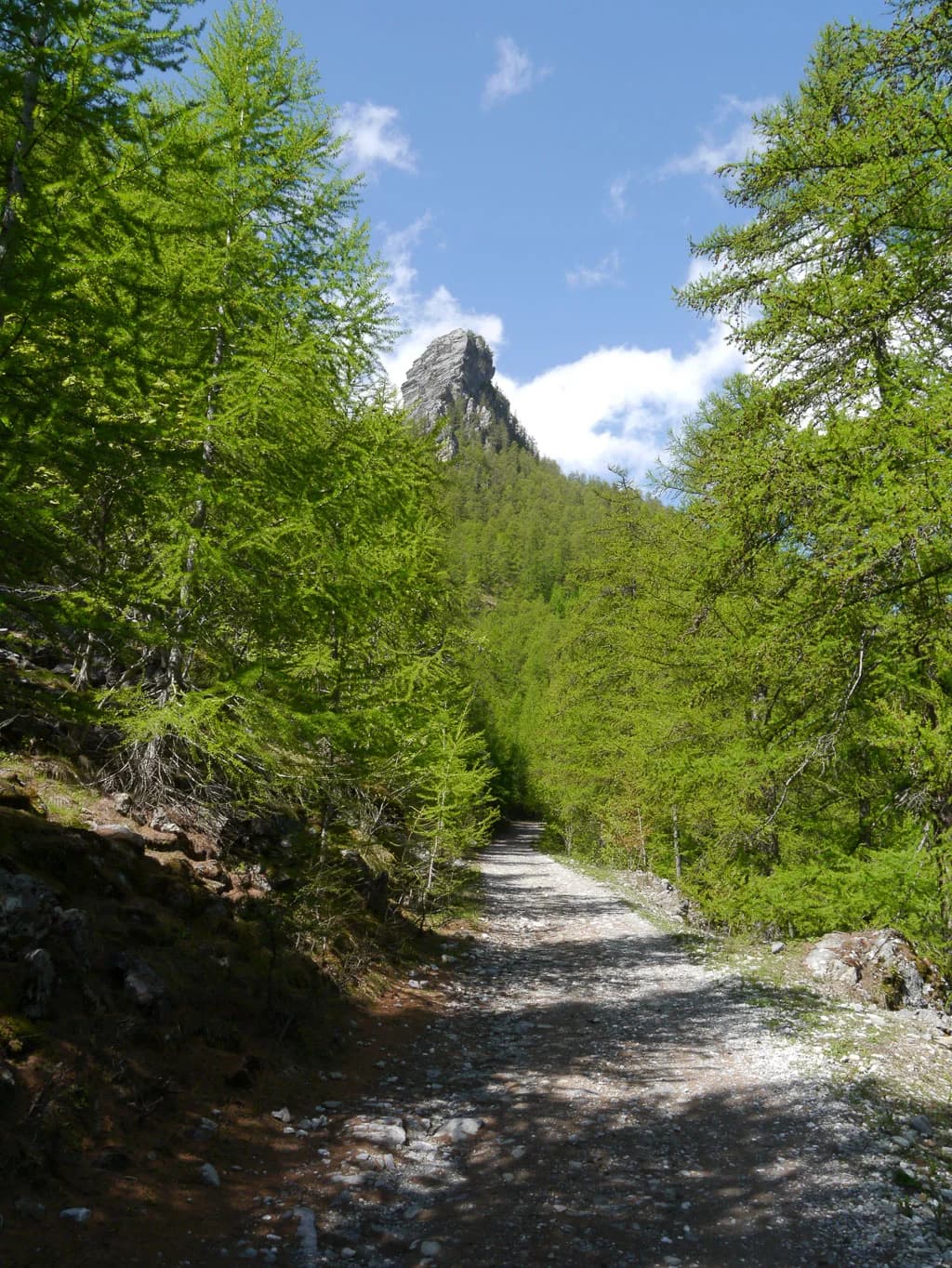 Paysage d'été au Pays des Écrins