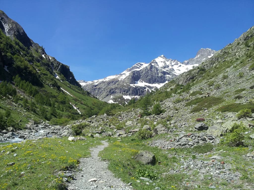 Activité d'été au Pays des Écrins
