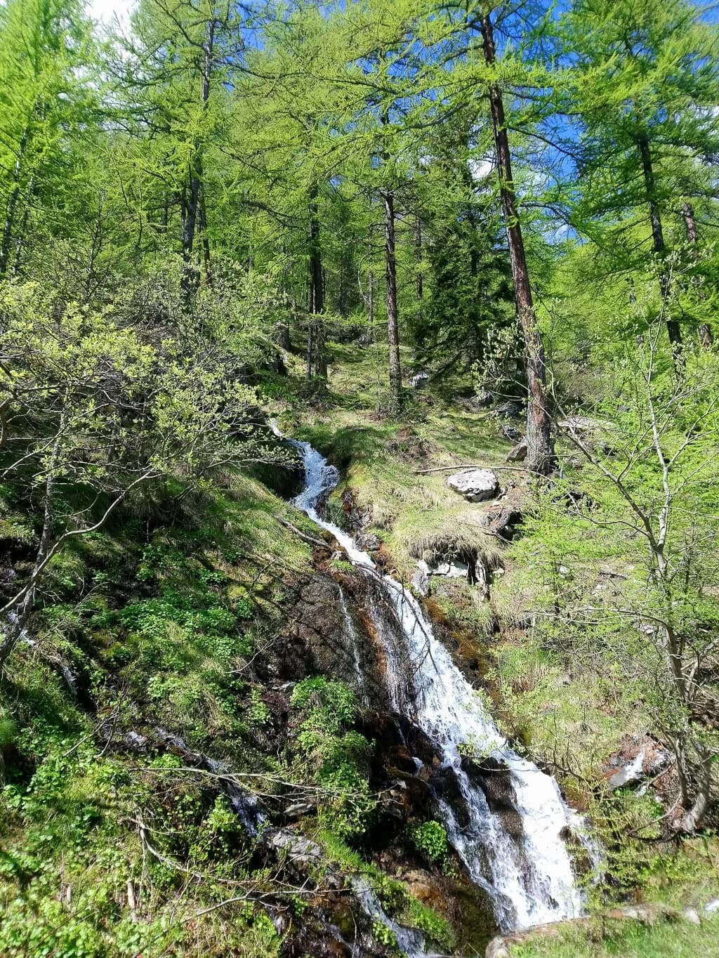 Paysage d'été au Pays des Écrins
