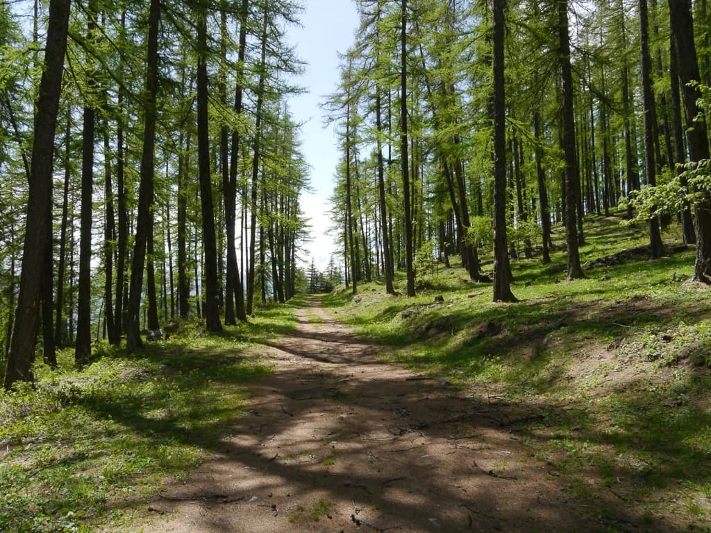 Activité d'été au Pays des Écrins